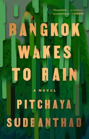 Bangkok Wakes to Rain - A Novel
