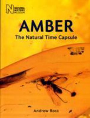 Amber - The Natural Time Capsule