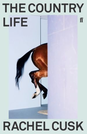 Country Life - ÔÇÿA writer of soaring intelligence' Megan Nolan