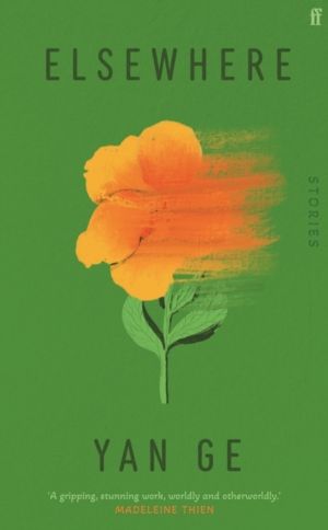 Elsewhere - 'Wonderful writing' Sarah Hall