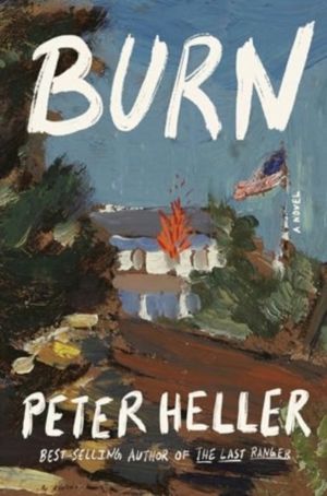 Burn - A novel
