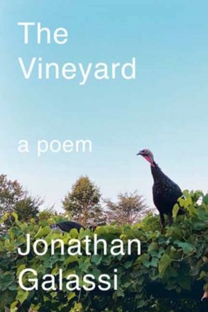 Vineyard - A Poem