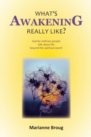 What's Awakening Really Like? - Twenty ordinary people talk about life beyo