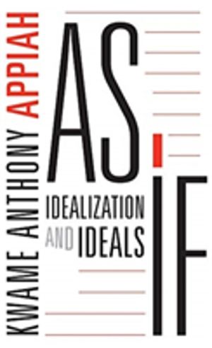 As If - Idealization and Ideals