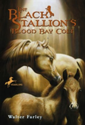 Black Stallion's Blood Bay Colt - (Reissue)