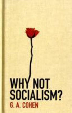 Why Not Socialism?