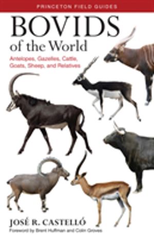 Bovids of the World - Antelopes, Gazelles, Cattle, Goats, Sheep, and Relati