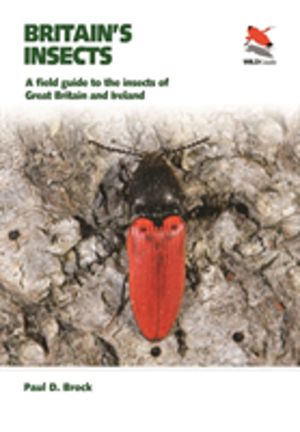 Britain's Insects - A Field Guide to the Insects of Great Britain and Irela