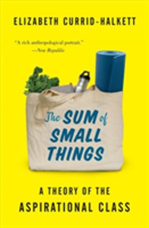 Sum of Small Things - A Theory of the Aspirational Class