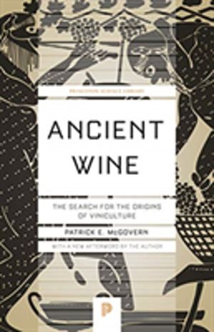Ancient Wine - The Search for the Origins of Viniculture