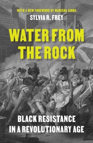 Water from the Rock - Black Resistance in a Revolutionary Age