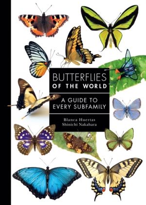 Butterflies of the World - A Guide to Every Subfamily