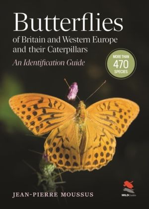 Butterflies of Britain and Western Europe and Their Caterpillars - An Ident