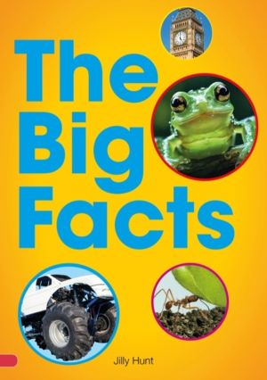 Striders Phonics Readers Set 08: The Big Six Get Artistic