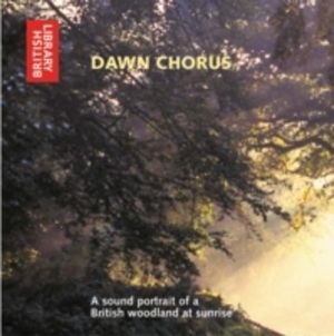 Dawn Chorus - A Sound Portrait of a British Woodland at Sunrise