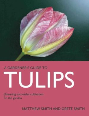 Tulips - Ensuring Successful Cultivation in the Garden