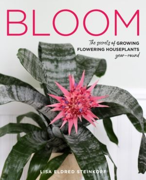 Bloom - The secrets of growing flowering houseplants year-round
