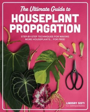 Ultimate Guide to Houseplant Propagation - Step-by-Step Techniques for Maki
