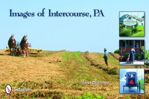 Images of intercourse