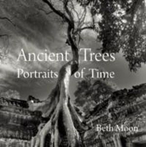 Ancient Trees - Portraits of Time