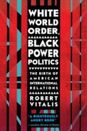 White World Order, Black Power Politics - The Birth of American Internation
