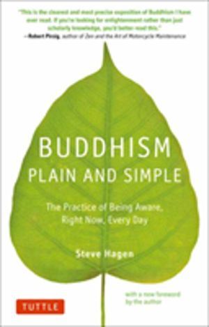 Buddhism Plain and Simple - The Practice of Being Aware Right Now, Every Da
