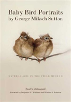 Baby Bird Portraits by George Miksch Sutton - Watercolors in the Field Muse