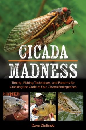 Cicada Madness - Timing, Fishing Techniques, and Patterns for Cracking the