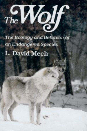 Wolf - The Ecology and Behavior of an Endangered Species