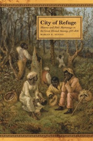 City of Refuge - Slavery and Petit Marronage in the Great Dismal Swamp, 176