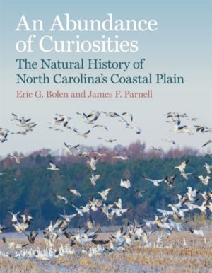 Abundance of Curiosities - The Natural History of North CarolinaÔÇÖs Coasta