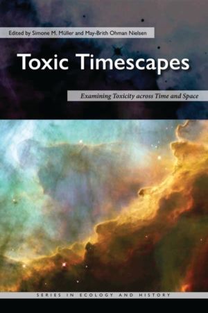Toxic Timescapes - Examining Toxicity Across Time and Space