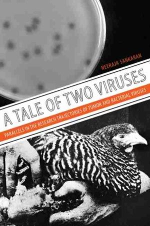 Tale of Two Viruses - Parallels in the Research Trajectories of Tumor and B