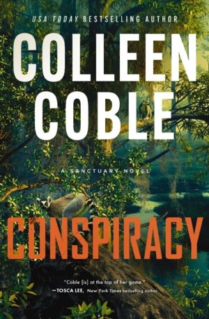 Conspiracy - A small-town, second-chance romantic suspense