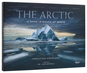 Arctic - A Darker Shade of White