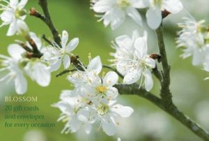 Blossom - An Attractive Pack of High-Quality Flower Gift Cards and Decorati