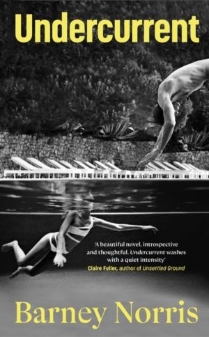 Undercurrent - The heartbreaking and ultimately hopeful novel about finding