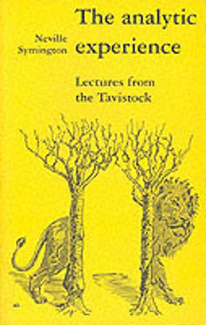 Analytic Experience - Lectures from the Tavistock