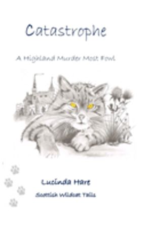 Catastrophe - A Wildcat's Tail