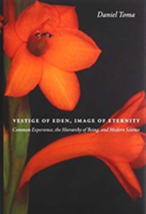 Vestige of Eden, Image of Eternity - Common Experience, the Hierarchy of Be