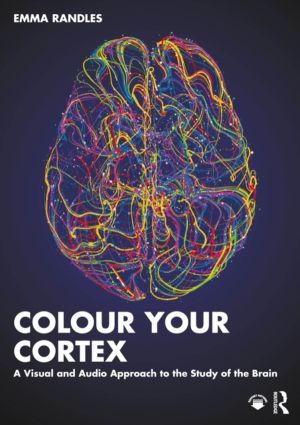 Colour Your Cortex - A Visual and Audio Approach to the Study of the Brain