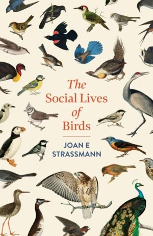 Social Lives of Birds - a must-read for bird and nature lovers