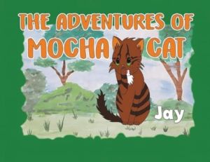 Adventures of Mocha Cat
