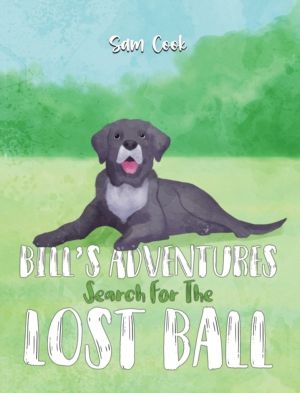 BillÔÇÖs Adventures: Search for the Lost Ball