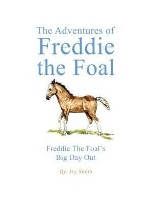 Adventures of Freddie the Foal - Freddie the FoalÔÇÖs Big Day Out