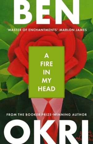 Fire in My Head