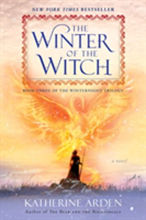 Winter of the Witch - A Novel