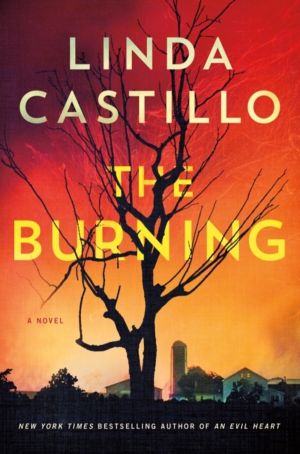 Burning - A Novel