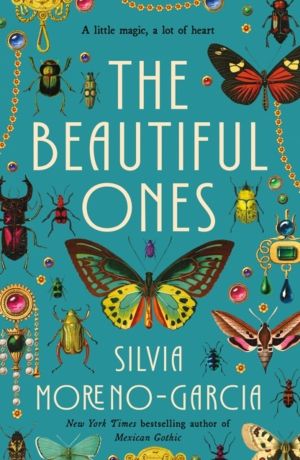 Beautiful Ones - A Novel