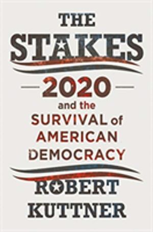 Stakes - 2020 and the Survival of American Democracy